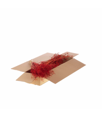 LDD Bupleurum open 55 centimeter SB red | Per 4 stuks