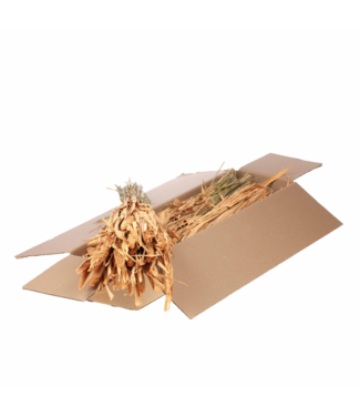 LDD Setarea séchée | Shopbox White Misty fleurs séchées | Par 4 bouquets
