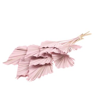 LDD Palmspear 10pc pink misty | Per 15 stuks