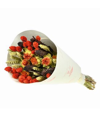 LDD Bouquet de fleurs séchées "Smart Savannah" | Longueur 45 centimètres | Par 18 bouquets