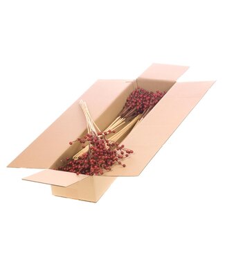 LDD Ilex berry o/s 10pc SB red spring | Per 5 stuks