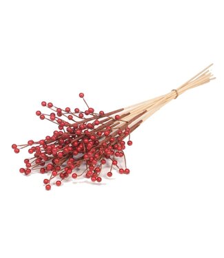 LDD Ilex berry o/s 10pc red spring | Per 25 stuks