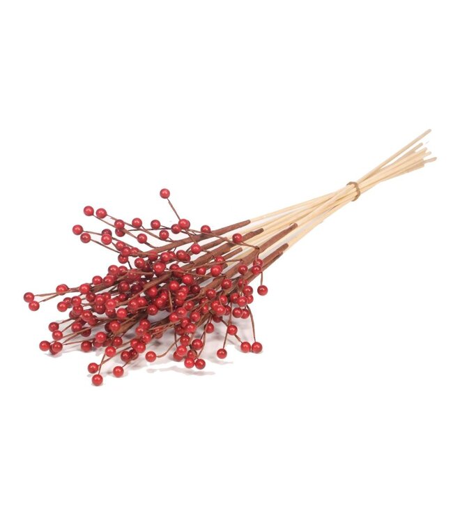 Ilex berry o/s 10pc red spring ( x 25 )