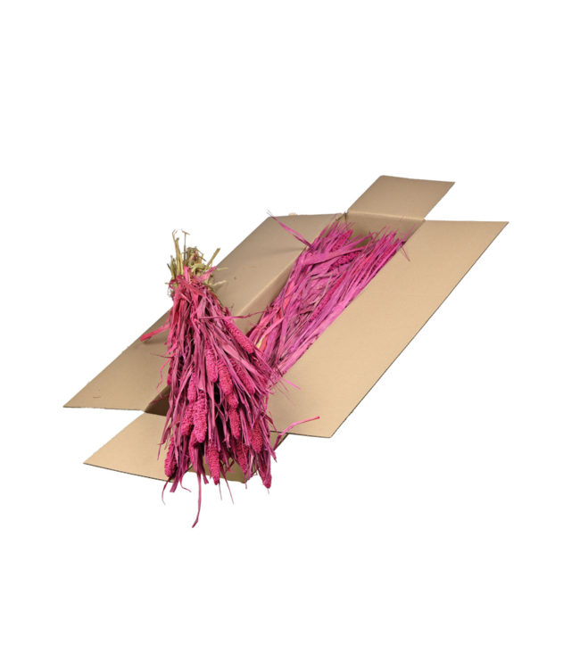 Setarea séchée | Shopbox Fleurs séchées roses | Commande par 4 bouquets