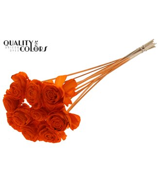 QC Shola Dhaliya 6cm on stem Orange ( x 50 )
