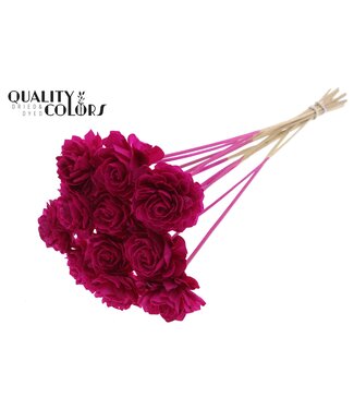 QC Shola Dhaliya 6 centimeter on stem Lilac | Per 50 stuks