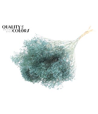 QC Frosted Light Blue Broom Bloom fleurs séchées | Emballé par pièce | Par 6 bouquets