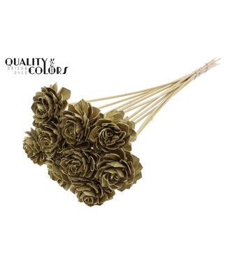 QC Shola Dhaliya 6 centimeter on stem Gold | Per 50 stuks