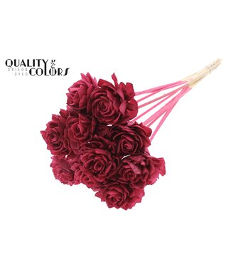 QC Shola Dhaliya 6 centimeter on stem Burgundy | Per 50 stuks