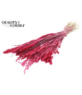 QC Dried Flower mix bunch Cerise | Per 6 stuks