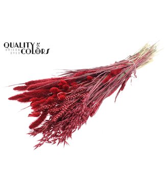 QC Dried Flower mix bunch Red | Per 6 stuks