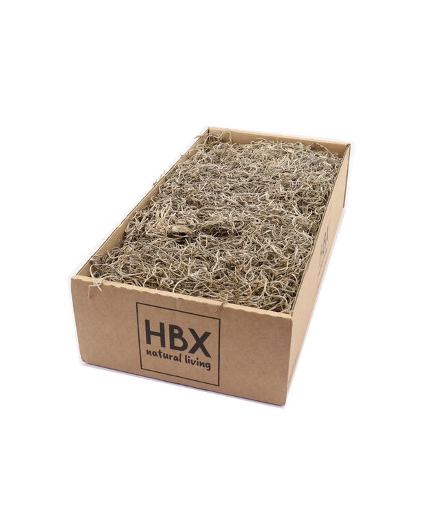 Naturelle Trocken-Deko Tillandsia Moos | Gewicht 350 Gramm | Pro Stück bestellbar