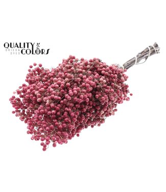 QC Pepperberries per bunch in poly Natural | Per 5 stuks