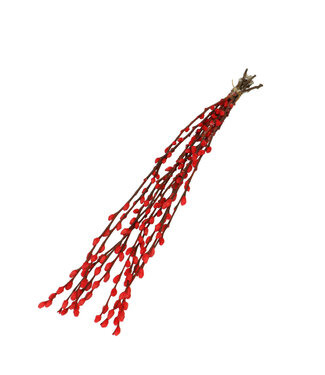 4A Chatons de saule rouges séchés | Fleurs séchées de Salix | Longueur 70 centimètres | Par 10 branches