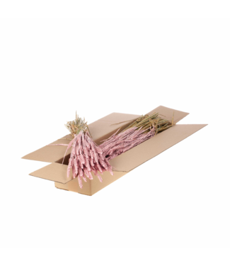 LDD Blé Séché | Shopbox Fleurs Séchées Pink Misty | Par 4 bouquets
