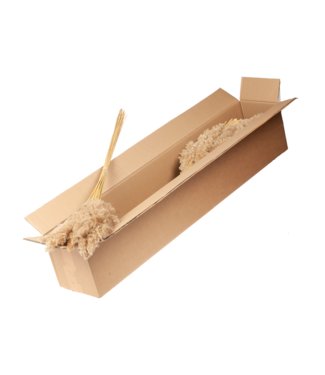 LDD Cortaderia plum extra 115cm 5pc SB natural ( x 4 )