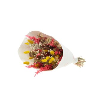 LDD Bouquet of dried flowers "Loose Fit Phoenix" | Length 60 centimetres | Per 8 bouquets