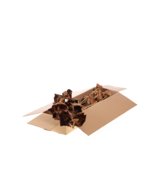 LDD Palmcup o/s 10pc SB natural | Per 2 stuks