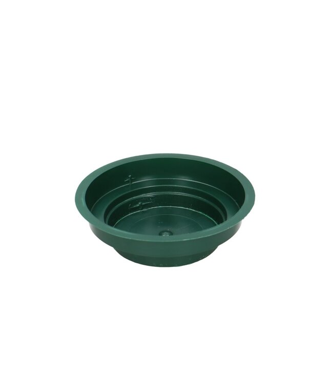 Oasis Junior schaal 12*3cm ( x 25 )