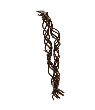 4A Naturelle Bruine lianes séchées en bouquet déco séchée | Longueur 50 centimètres | 8 lianes par bouquet | Par bouquet