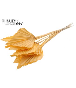 QC Palm Spear Séché | Feuilles de palmier intensément saumon en forme de lance | Par 50 pièces