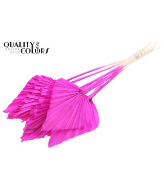 QC Palm Spear Séché | Feuilles de palmier en forme de lance Intense Lilas | Par 50 pièces
