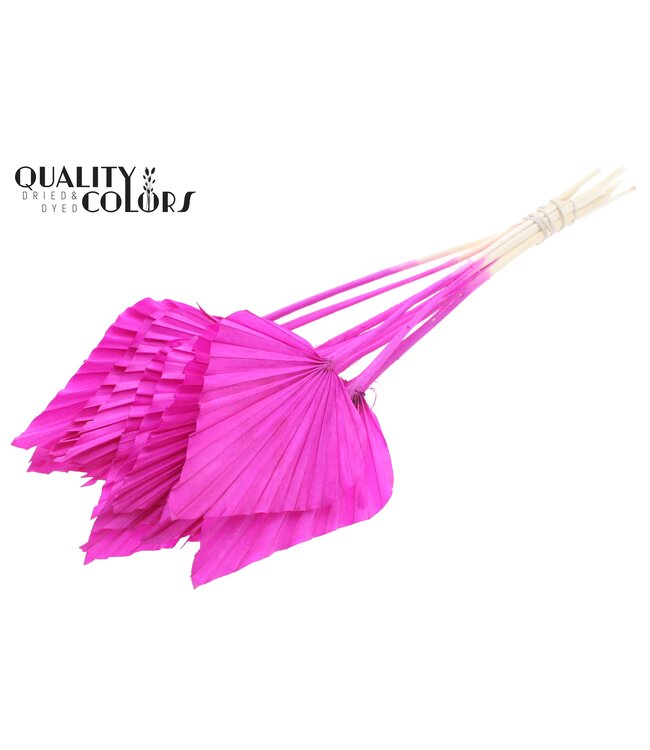 Palmier Séché en Lance | Feuilles de Palmier Intense Violet en forme de lance | Commandable par 50 pièces