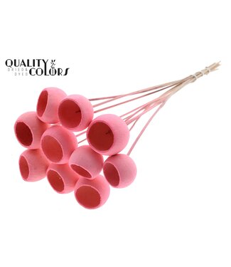 QC Bell Cup on stem Intense Light Pink | Per 50 stuks
