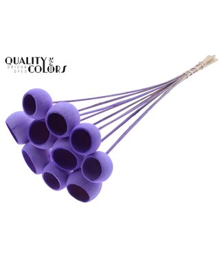 QC Bell Cup on stem Intense Milka | Per 50 stuks