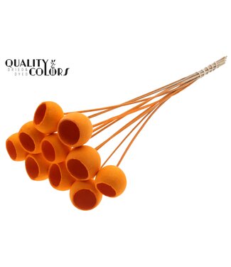 QC Bell Cup on stem Intense Orange ( x 50 )