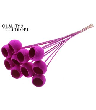 QC Bell Cup on stem Intense Lilac ( x 50 )