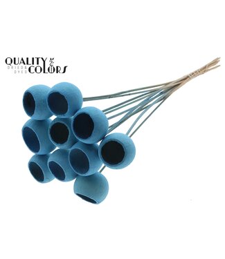 QC Bell Cup on stem Intense Light Blue ( x 50 )
