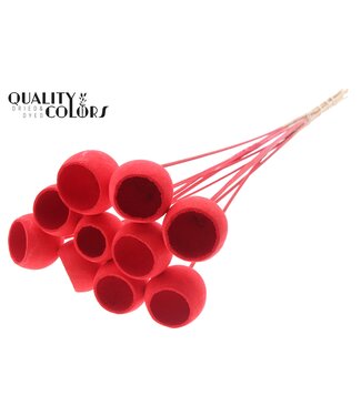QC Bell Cup on stem Intense Red ( x 50 )