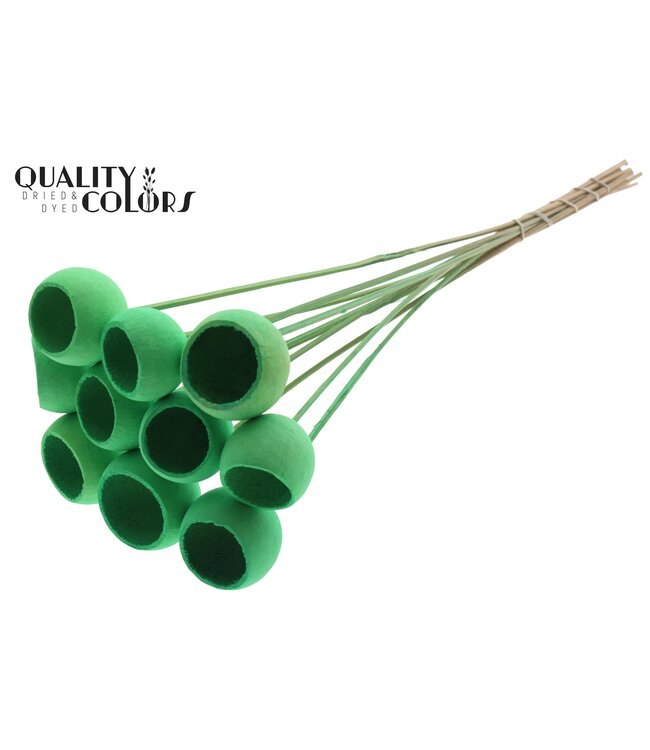 Bell Cup on stem Intense Mint Green ( x 50 )