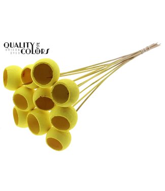 QC Bell Cup on stem Intense Yellow ( x 50 )