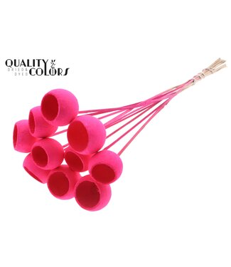 QC Bell Cup on stem Intense Cerise ( x 50 )
