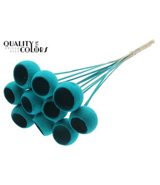 QC Bell Cup on stem Intense Turquoise ( x 50 )