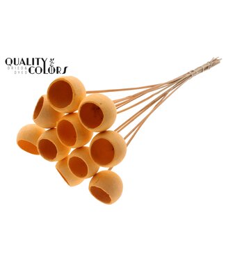 QC Bell Cup on stem Intense Salmon | Per 50 stuks