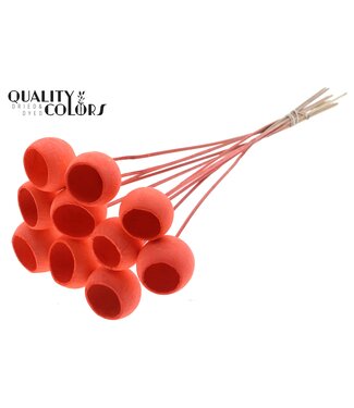 QC Bell Cup on stem Intense Coral ( x 50 )