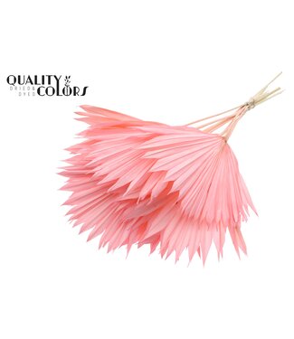 QC Dried Palm Leaf | Palm Sun Spear Intense Light Pink | Per 50 pieces