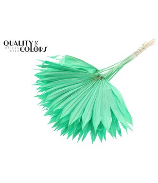 QC Getrocknetes Palmblatt | Palm Sun Spear Intens Mintgrün | Pro 50 Stück