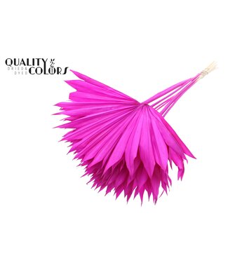 QC Getrocknetes Palmblatt | Palm Sun Spear Intens Lila | Pro 50 Stück
