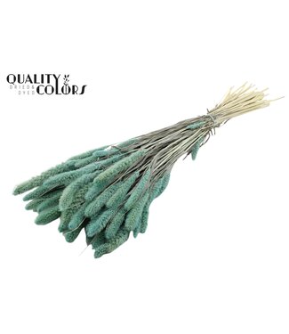 QC Setaria per bunch Intense Frosted Light Blue ( x 6 )