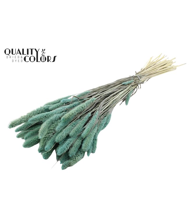 Setaria per bunch Intense Frosted Light Blue ( x 6 )