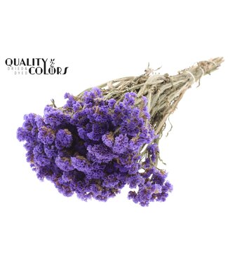QC Statice per bunch Natural Purple ( x 6 )