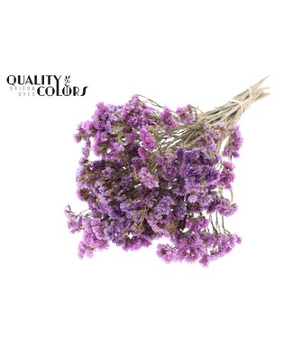 QC Statice per bunch Natural Pink ( x 6 )