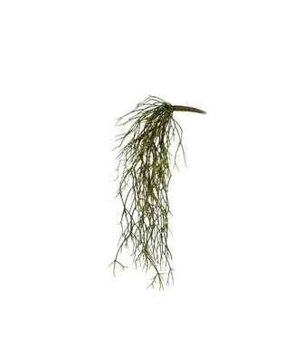 4A Green Rhipsalis artificial plant | Length 64 centimetres | Per piece