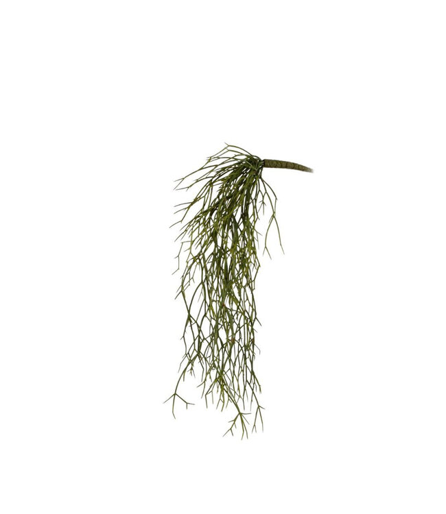 Green Rhipsalis artificial plant | Length 64 centimetres | Available to order individually