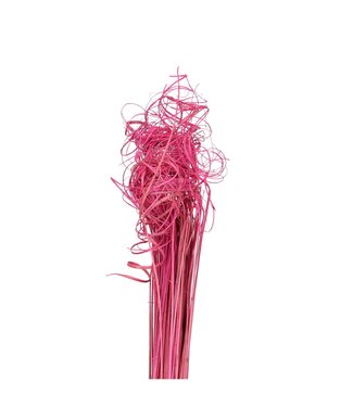 4A Nerf de palmier séchée rose clair enroulée | Curly Ting Ting déco séchée | Longueur 70 centimètres | Poids 200 grammes | Par pièce