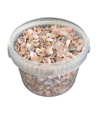 QC Hellrosa Nordseemuscheln | Inhalt 3 Liter | Pro Eimer